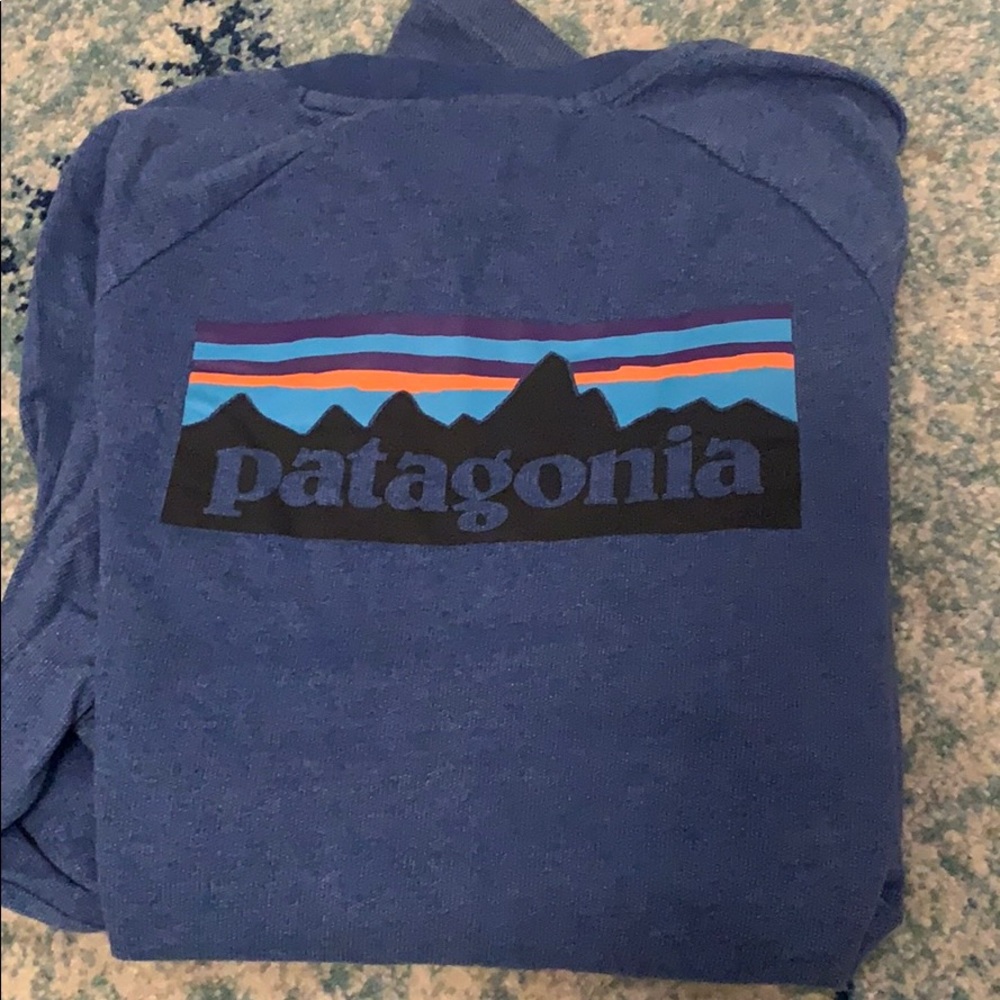 Patagonia thin, soft fleece, long sleeve